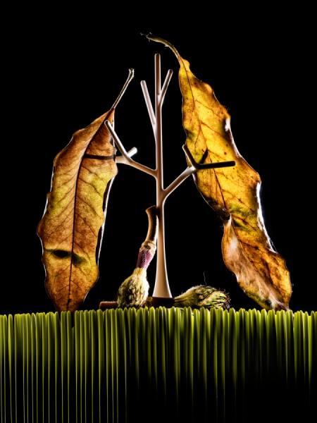 Photograph Joe Felzman Plastic Tree Dead Leafs on One Eyeland